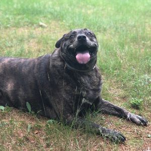 Meet your Posher, Hope